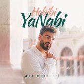 دانلود آهنگ علی قلیچ حبیبی یا نبی